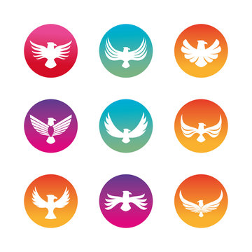 Isolated eagle bird silhouette block style icon set vector design