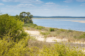 Mewia Łacha Nature Reserve during the summer