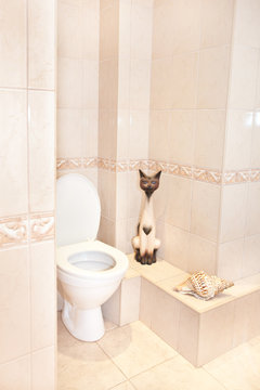 Toilet closeup in a building interior
