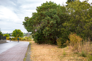 Galloping Goose Trail