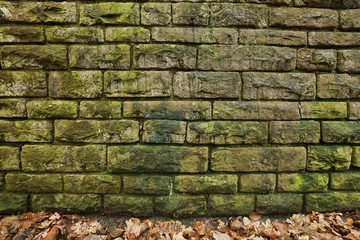 Natursteinmauer mit Moos