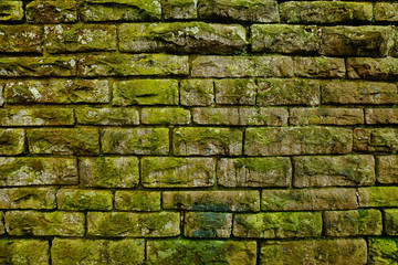 Natursteinmauer mit Moos