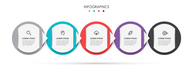 Vector infographic template