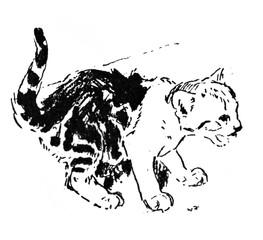 Picture of an angry cat in the old book Artistes Modernes, by Goupil, 1881, Paris