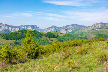 Fototapeta na wymiar gorges and mountains of Romanian countryside. beautiful rural landscape of valea Manastirii in Alba country. wonderful sunny weather in springtime. 