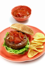 burger with tomato sauce, lettuce and onions