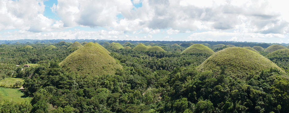 Green grass on the Chocolate Hills in Central Visayas on Bohol Island, Philippines.