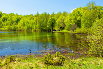 Fototapeta na wymiar landscape by the mountain lake among coniferous forest. wonderful nature scenery in springtime at high noon.