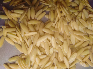 Close up of the cucumber seeds on the floor