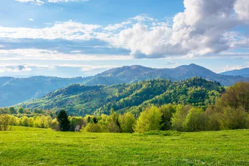 Fotobehang gorgeous rural landscape in mountains. fields and meadows on hills rolling in to the distant ridge. trees in fresh green foliage. nature scenery on a sunny day in spring. fluffy clouds on the sky © Pellinni