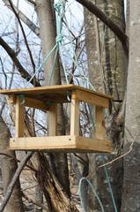Bird feeder made from improvised materials. Preparing for the meeting of migratory birds.