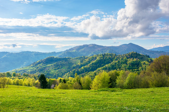 gorgeous rural landscape in mountains. fields and meadows on hills rolling in to the distant ridge. trees in fresh green foliage. nature scenery on a sunny day in spring. fluffy clouds on the sky