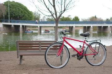 Fototapeta na wymiar Bicicleta roja fernete a un lago