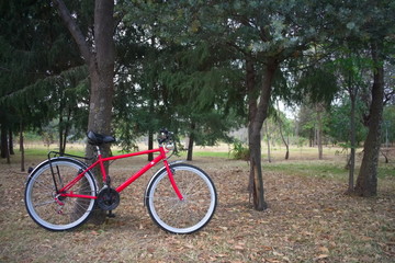 Fototapeta na wymiar Bicicleta roja en el parque