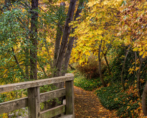 Fototapeta na wymiar Path to the Lithia Park in Ashland Oregon, USA, in the Autumn 