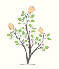 Three flowers on branches with green leaves and orange berries isolated on a light background