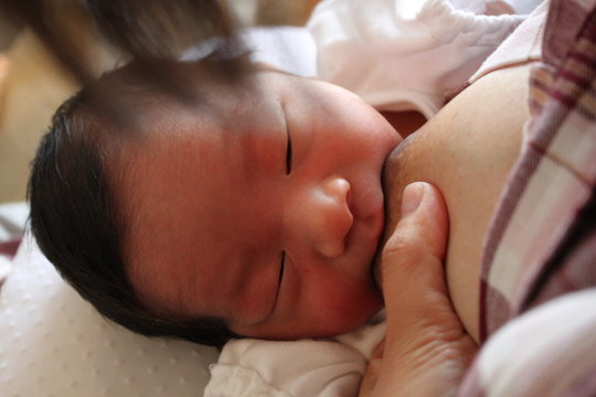 母乳を与えること の画像 166 件の Stock 写真 ベクターおよびビデオ Adobe Stock