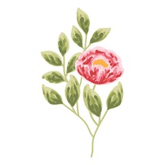 single red peony and green leaf floral element