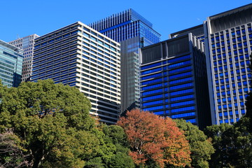 Obraz premium 東京大手町のオフィスビル群