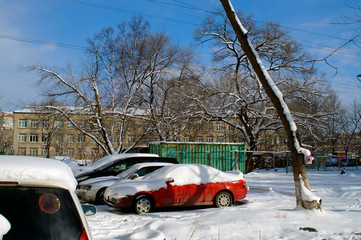 snow, snow removal, trees in the snow, winter in the city, streets in the snow, public utilities, lights in the snow, winter day