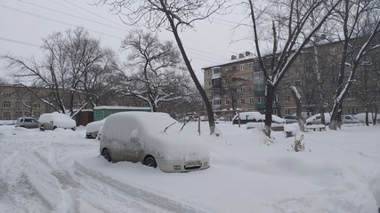 snow, snow removal, trees in the snow, winter in the city, streets in the snow, public utilities, lights in the snow, winter day