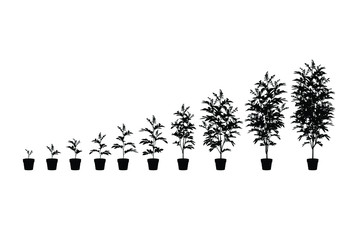 Plant pot silhouette vector