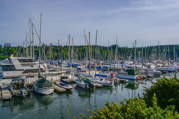 Fototapeta na wymiar boats docked at Harbour Marina in Eagle Harbor, Bainbridge Island, Washington State