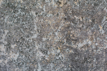 A texture of an old wall's house
