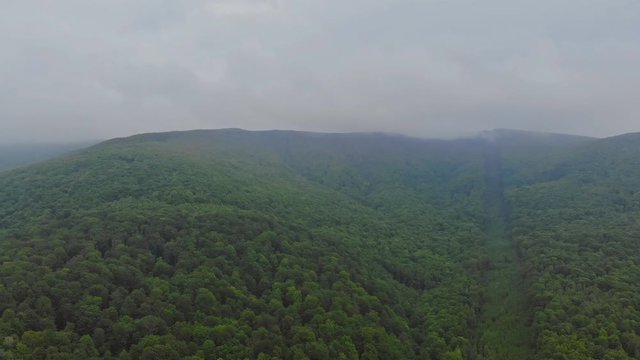 Pocono Pennsylvania landscape with fir forest view of foggy mountains