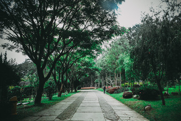 Road till the end of Yellow Valley