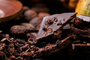 Dark chocolate pieces crushed and cocoa beans, top view