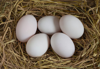 eggs in nest,Duck eggs on rice straw, raw eggs for cooking,top view.