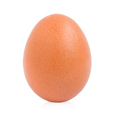 Single raw chicken egg isolated on the white background.