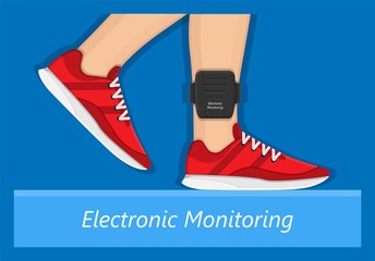 electronic monitoring EM tagging system tag territory offences  perpetrator