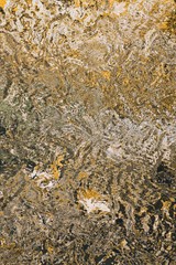 Luxury and beauty concept wavy lines background.