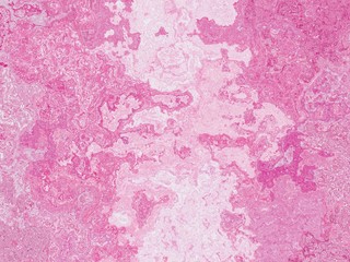 Luxury and beauty concept wavy lines background.