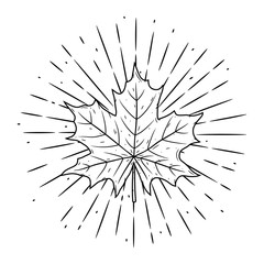 Maple leaf. Hand drawn vector illustration. Used for poster, banner, t-shirt print, bag print, badges and logo design.