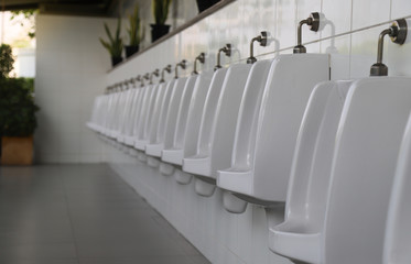 Closeup row of indoor white ceramic male urinals toilet with white wall.