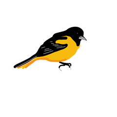 Obraz premium graphic bird. vector bird on a white background. flat illustration