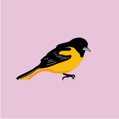 vector bird illustration on pink background and animal of  bird picture 