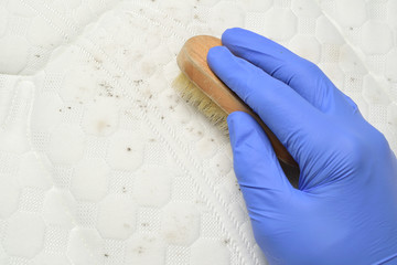Cleaning mould stains from the mattress with a brush.