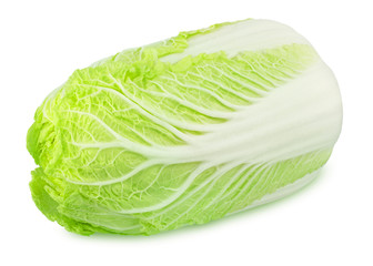 Fresh whole chinese cabbage isolated on a white background.