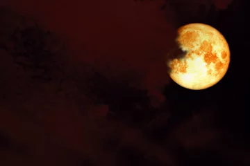Papier Peint photo Lavable Pleine Lune arbre lune d& 39 esturgeon rouge de retour sur le nuage de silhouette sur le ciel de coucher du soleil