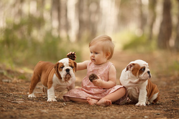 Cute little baby with two English bulldog puppies playing. Place for the inscription. Concept: relationships, happiness, family.