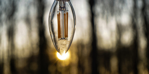 Light bulb in sun