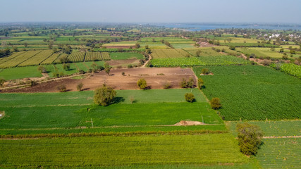 Fototapeta na wymiar Ariel top view of agriculture field 