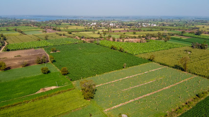 Fototapeta na wymiar Ariel top view of agriculture field 