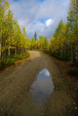 Fototapeta na wymiar Dirt road to the top of Vottovaara mountain surrounded by autumn forest. Karelia, Russia