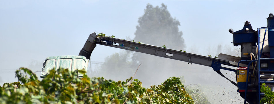 Longhorn Arm On Grape Harvester