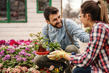 Two smiling nursery garden workers crouching and holding pots with flowers and chatting.